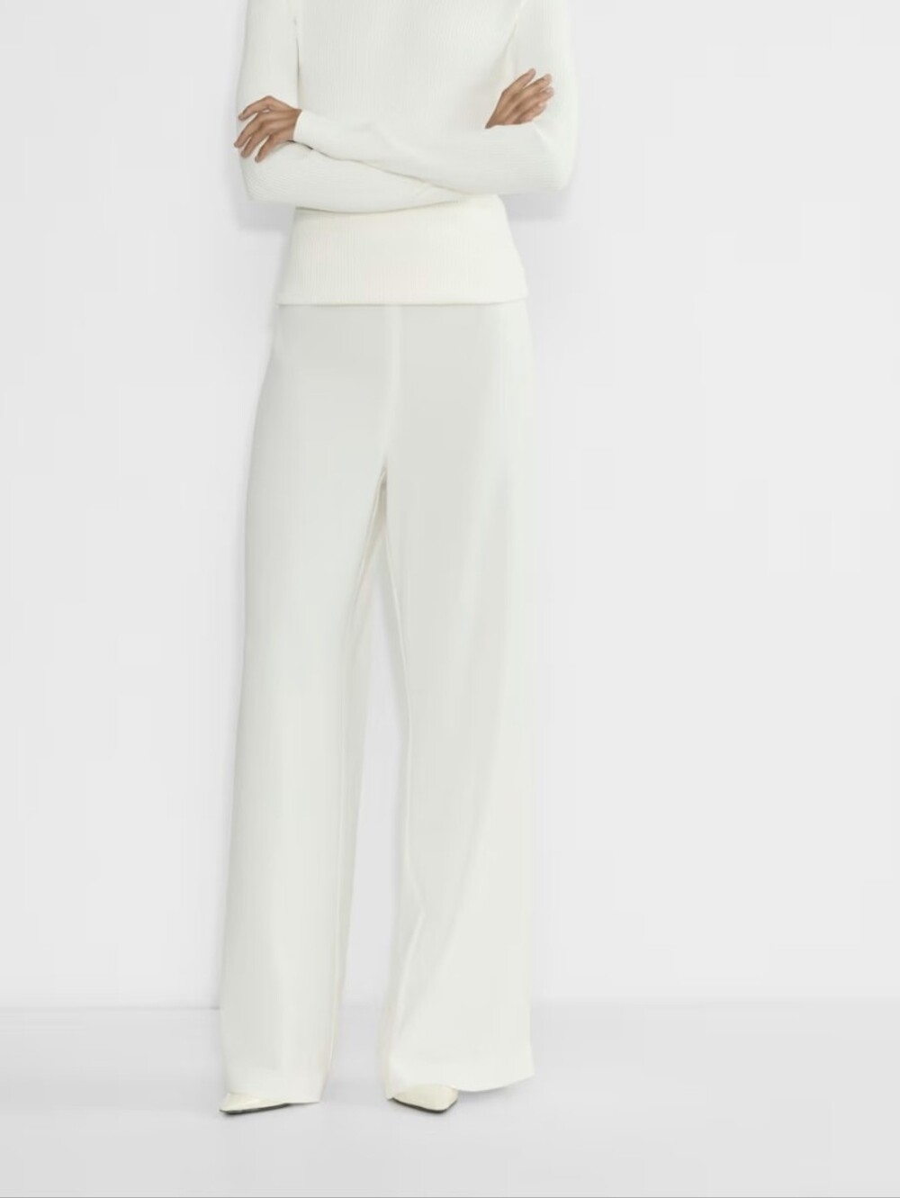 Aritzia Babaton Strive Wide Leg Pant